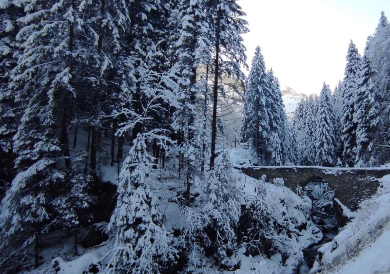 Appartement Mountain River