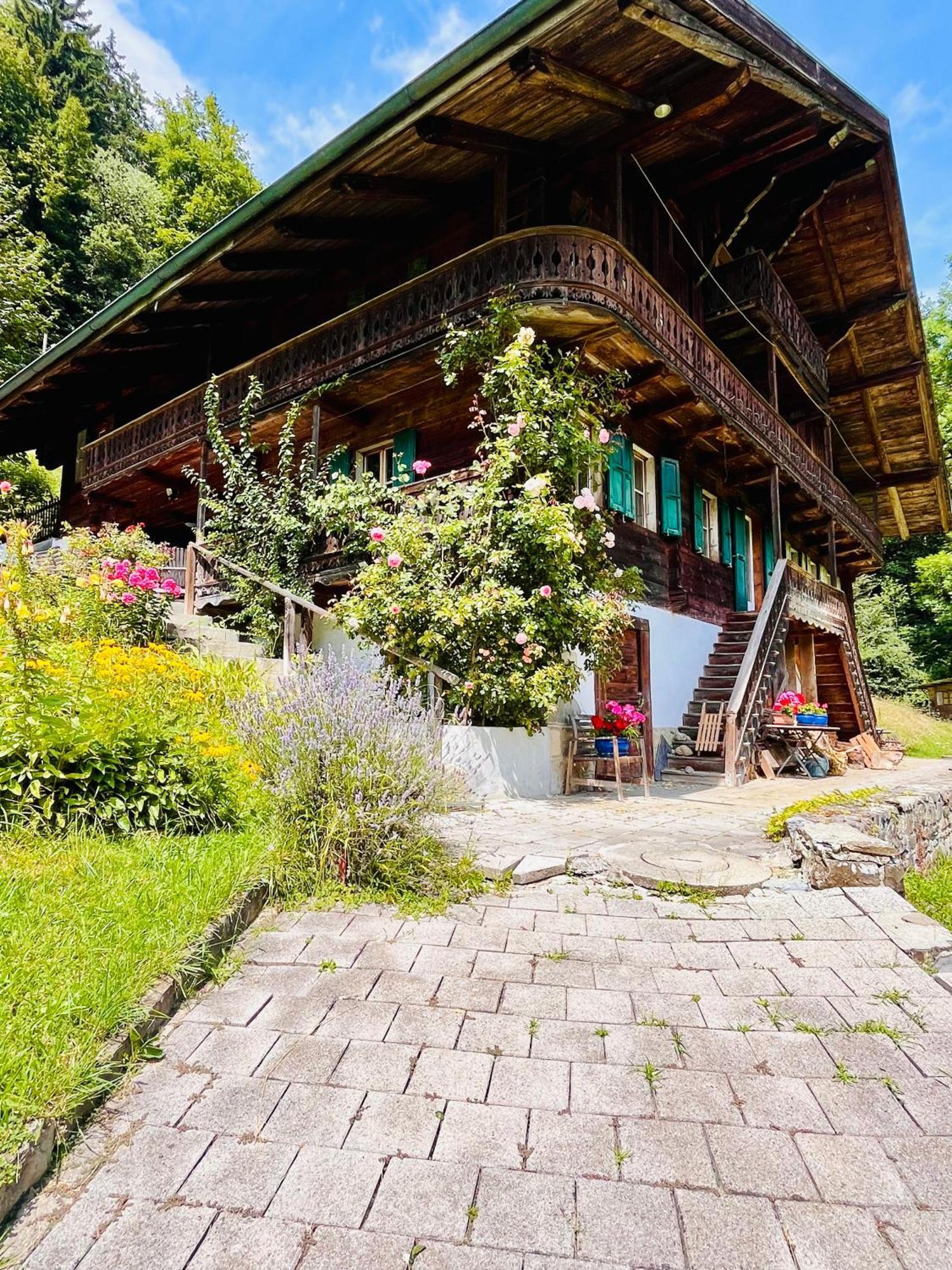 Mountain River Appartement